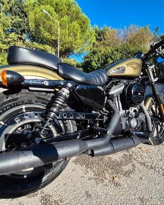 harley iron 883