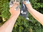 Immagine 6