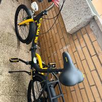 Bicicletta pieghevole