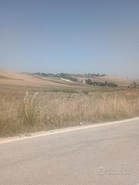terreno agricolo