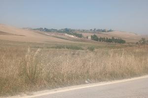 terreno agricolo