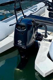 Suzuki df 140 stealth gambo XL 2026 meccanico