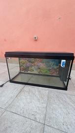 Acquario 100 litri  con filtro biologico