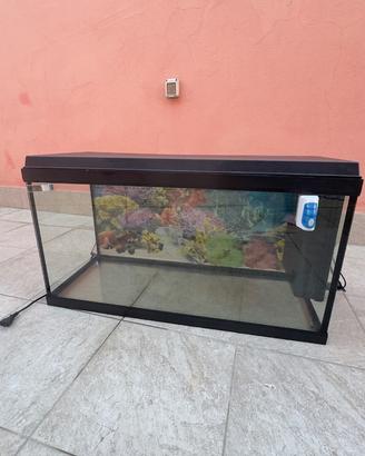 Acquario 100 litri  con filtro biologico