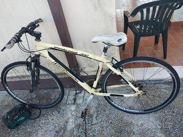 bicicletta 