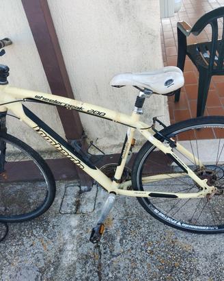 bicicletta 