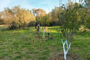 Terreno Agricolo Edificabile
