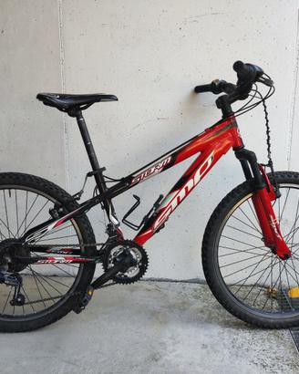 MTB 24" SMP Storm - 21 Velocità