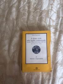 Il diritto civile nella legalità costituzionale