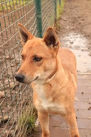 DOLCE di nome e di fatto