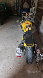 Shadow vt 600 custom