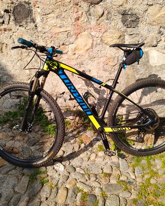 Mountain bike Torpado in carbonio 