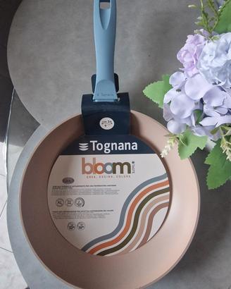Tognana 