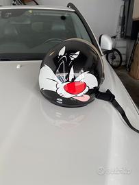 Casco axo