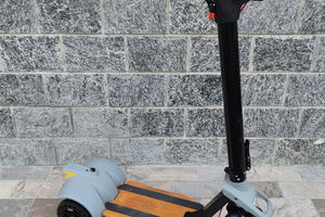 Tripattino Lynx To.tem