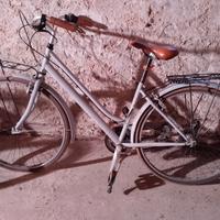 Bicicletta da donna