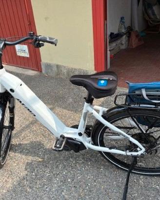 bicicletta eletrica