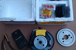 Selettra Malossi Team 2 Minarelli Nuova