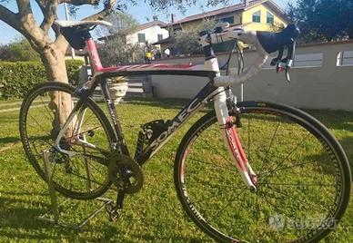 Bici da corsa in carbonio Maestro perfetta