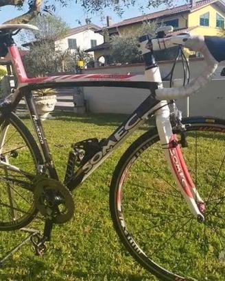 Bici da corsa in carbonio Maestro perfetta