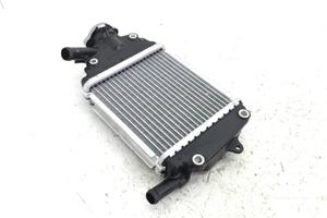 PIAGGIO VESPA GTS E4 ABS 125 RADIATORE LIQUIDO RAF