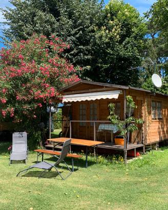 Roulotte con casetta legno ed accessori