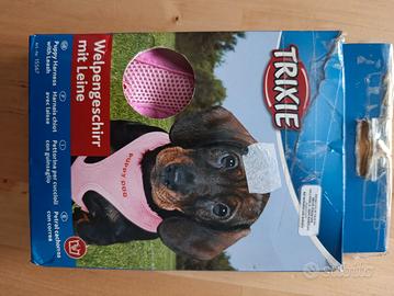 pettorina e guinzaglio per cuccioli