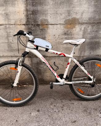 Bici MTB Garyfisher