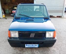 Fiat Panda 1100 i.e. cat Young