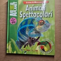 Libro 📚 Animali spettacolari