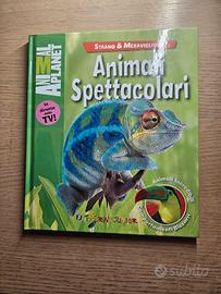 Libro 📚 Animali spettacolari