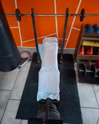 Panca palestra