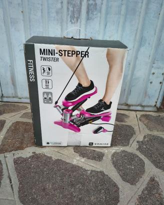 Mini Step