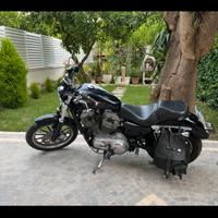 Harley Davidson 883