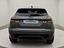 Immagine 7