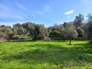 Nuxis - Terreno Edificabile mq. 2395