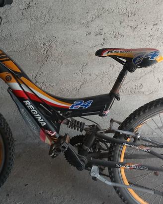 bicicletta 24