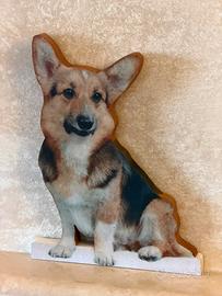 Welsh corgi