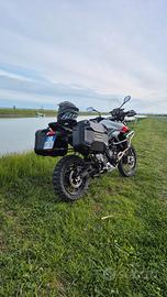 triumph tiger 900 rally peo 2025