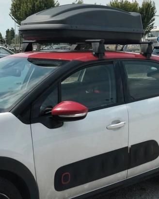 Portapacchi per auto C3