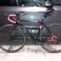 Scapin in carbonio tg S