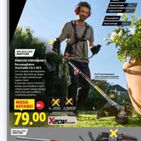 Decespugliatore e tosaerba PARKSIDE LIDL