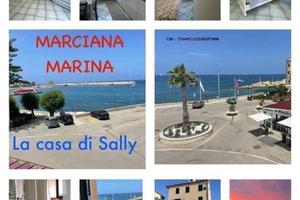 Estate 2026 isola d'elba