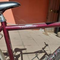 Bicicletta da uomo