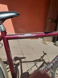 Bicicletta da uomo