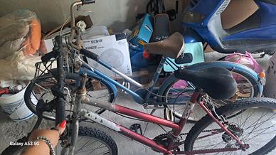 biciclette 