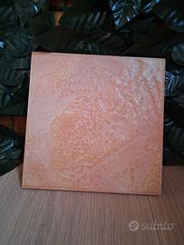 Pavimento/rivestimento