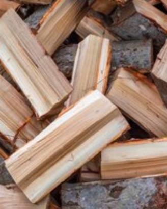 Legna di pino