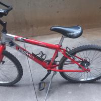 Mtb Olmo 24 pollici