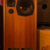 IMF Studio Monitor (a linea di trasmissione)